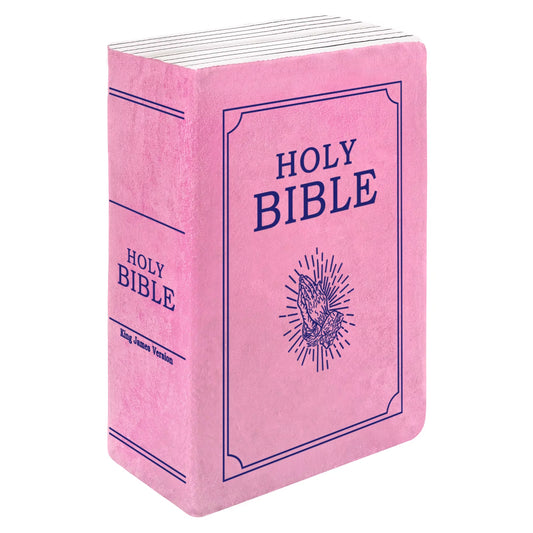 John 3 Pink Cutest Bible Memory Foam Pillow with Bible Throw Pillow Learn the Valuable Lesson Learn the Valuable Lesson